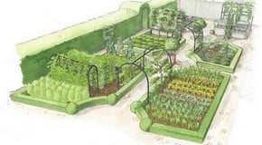Kitchen Garden Planting Plan