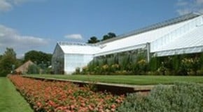 Kitchen Garden Special Update - August 2006