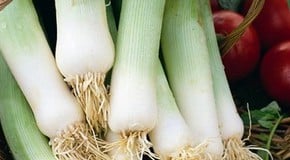 Leeks