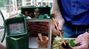 Leggy Plants from the Propagator