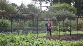 Let The Juice Loose - September 2012