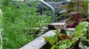 Let's go round again...