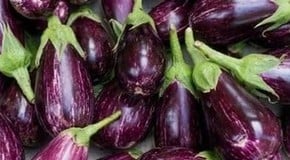 Let's talk about Aubergines