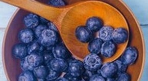 Let's talk about Blueberries