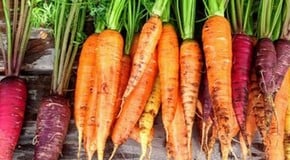 Let's talk about Carrots