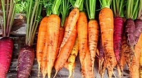 Let's talk about Carrots