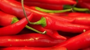 Let's Talk About Chillies