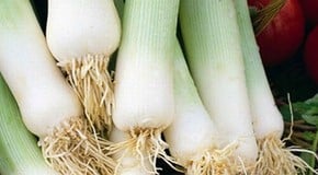 Let's talk about leeks