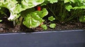 Linking my Link-a-Bord Raised Beds