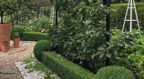 Lots of weeding and tidying