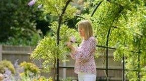 Making a feature with a Metal Garden Arch