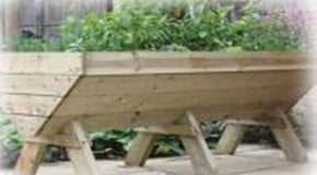 Manger Drainage and Nutrients