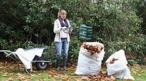 October Kitchen Garden Update