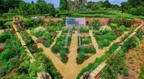 Old Vicarage Garden - East Ruston, Norfolk