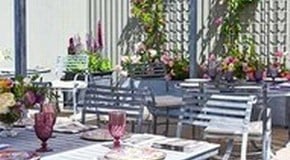 Our return to the RHS Chelsea Flower Show 2022