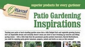 Patio Gardening - March 2012