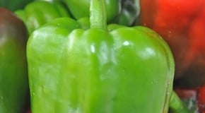 Peppers