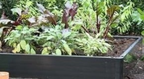 Plant Groups & Crop Rotation