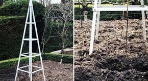 Planting a Potager Garden