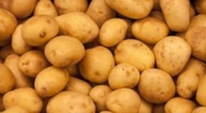 Potatoes