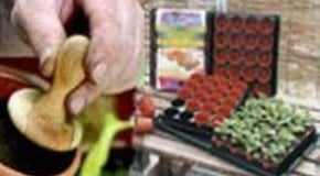 Propagation Bench Poser!