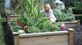 Raised Bed Gardening