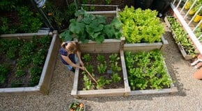 Raised Bed Growing