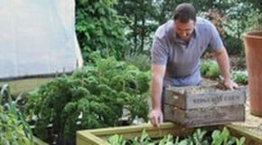 Raised Bed Positioning