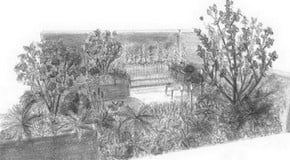 RHS Hampton Court Palace Garden Festival 2023!