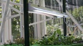 Root!T Grow Light System & Vitopod combination