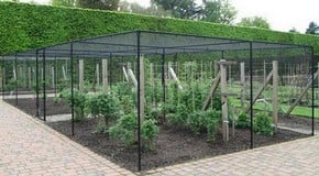 Royal Botanic Garden Edinburgh