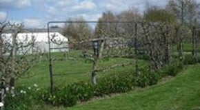 Ryton Gardens - near Coventry, Warwickshire