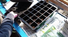 Seed Sowing at Harrod Horticultural HQ