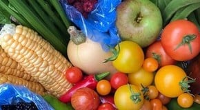 September in the Kitchen Garden