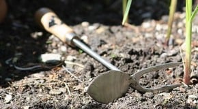 Sneeboer - You Can Taste The History!