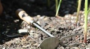 Sneeboer - You Can Taste The History!