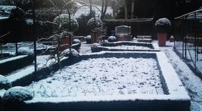 Snow arrives in the Kitchen Garden