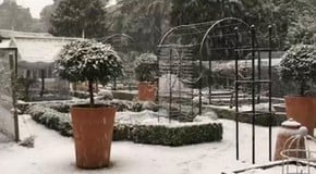 Snowing at the Kitchen Garden!