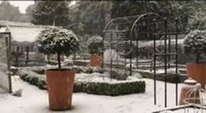 Snowing at the Kitchen Garden!