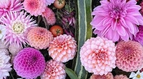 Spring is on its way! With Nicole Laird