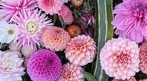 Spring is on its way! With Nicole Laird