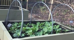 Spring seems to have arrived