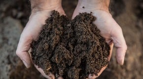 Start Composting This August: A Guide to Greener Gardening