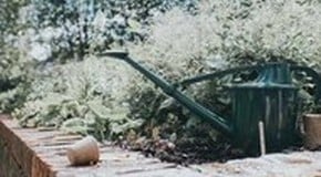 Stephanie's August Top Product Picks