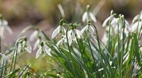 Stephanie's February Top Product Picks