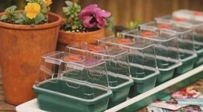 Stephanie's February Top Product Picks