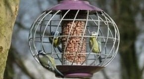 Stephanie's January Top Product Picks