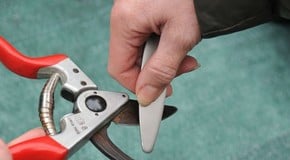 Stephanie's January Top Product Picks