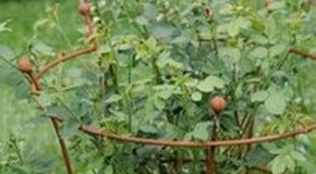 Stephanie's July Top Product Picks