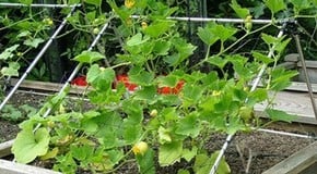 Stephanie's June Top Product Picks